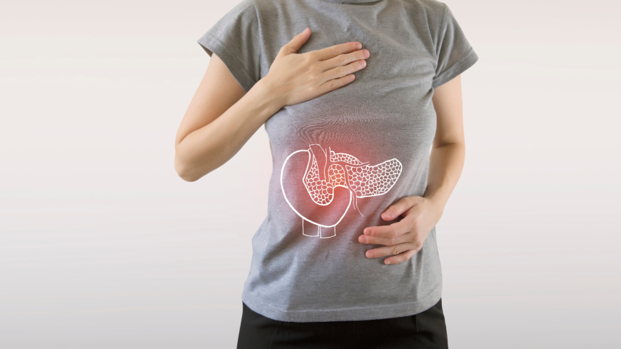 Från topp till tå – Levern, gallblåsan och bukspottskörteln